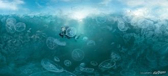 Залив медуз. Раджа-Ампат, Индонезия